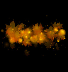 Autumn Maple Leaves On Black Background