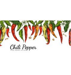 Hand Drawn Chili Peppers Seamless Border In Sketch