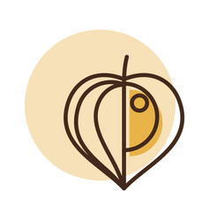 Physalis Berries Isolated Design Icon Graph