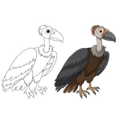 A Vulture Before And After Coloring