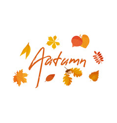 Autumn Leaves