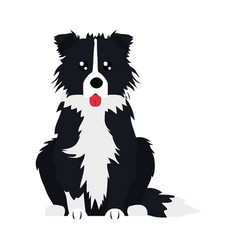 Border Collie Dog Icon Flat Style