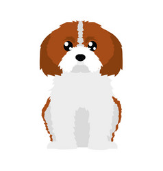 Cavalier Dog Icon Flat Style