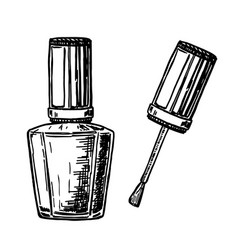 Nail Polish Bottle With Brush Sketch Product