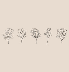 Wildflower Line Art Bundle