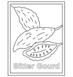 Bitter Gourd