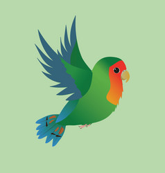 Flying Green Peach Faced Lovebird