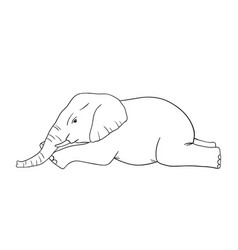 Cute Lying Elephant Line Sketch Isolated On White