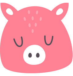 Pig Animal Face