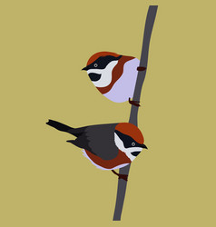 Image Of Red Headed Tit Birds