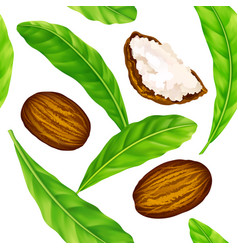 Shea Nuts With Leaves In Pattern