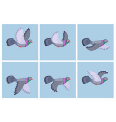 Cartoon Flying Pigeon Animation Sprite