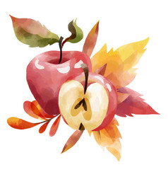 Red Apple Watercolor Design High Quality