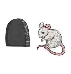 Mouse And Hole In Wall Sketch