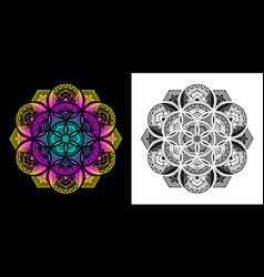 Applied Thai Art Pattern In Mandala Style