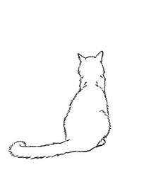 Sitting Cat View From Behind Freehand Sketch Hand