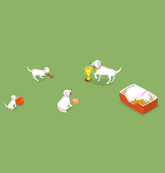 3d Isometric Flat Set Of Pets Growth Stages