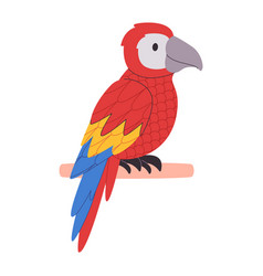 Colorful Bird Scarlet Macaw Species Parrot Red