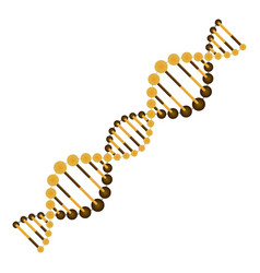 Diagonal Dna Chain Science Golden Color