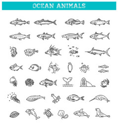 Ocean Life Underwater Fauna Flat Line Collection