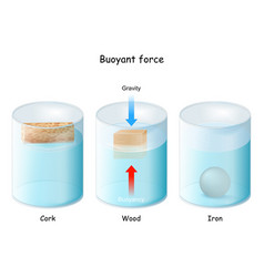 Buoyant Force Archimedes Principle