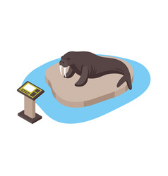 Isometric Zoo Walrus Composition