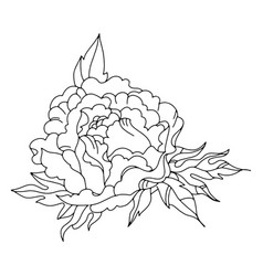 Detailed Flower Line Art