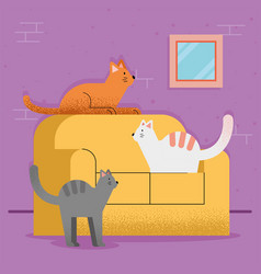 Cats Mascots In Sofa