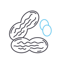 Peanut Line Icon Outline Symbol