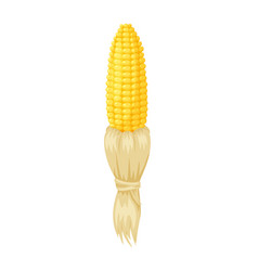 Cartoon Corn Cob Peeled From Dry Husk Isolated