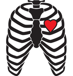 Human Rib Cage Skeleton With Heart