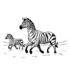 Zebra Family On The Savannah Black And White