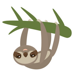 Three-toed Sloth On Green Branch White