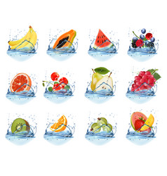 Big Collection Of Fruit In A Water Splash