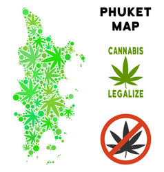 Royalty Free Marijuana Leaves Collage Phuket Map