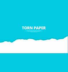 Torn Paper Dark Turquoise Color Background Banner