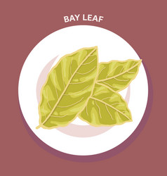 Bay Leaf