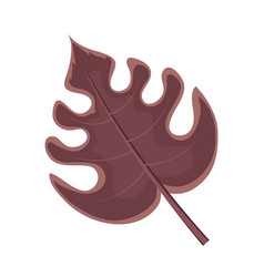 Exotic Leaf Icon