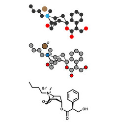 Butylscopolamine Hyoscine Butylbromide