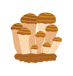 Family Of Mystery Mushrooms Hand Drawn