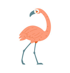 Standing Flamingo Bird