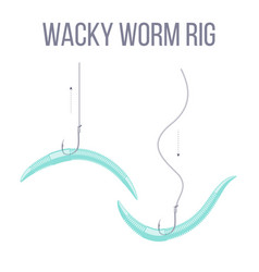 Wacky Worm Rig