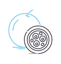 Passion Fruit Line Icon Outline Symbol