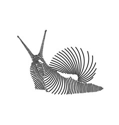 Simple Line Art Of A Snail 3