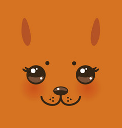 Funny Squirrel Face On Orange Background