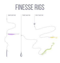 Finesse Rigs For Catching Predatory Fish