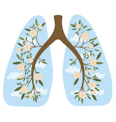 Human lungs respiratory system healthy lungs Vector Image