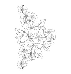 Red Hibiscus Flower Coloring Page Line Drawing