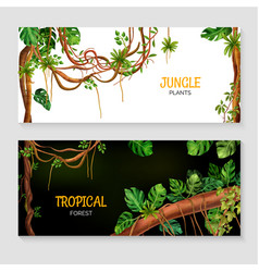 Liana Jungle Realistic Banners