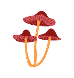 Three Fabulous Mushrooms Hand Drawn